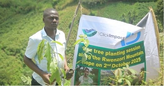 Tree Planting Initiative
