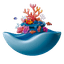 Restore coral