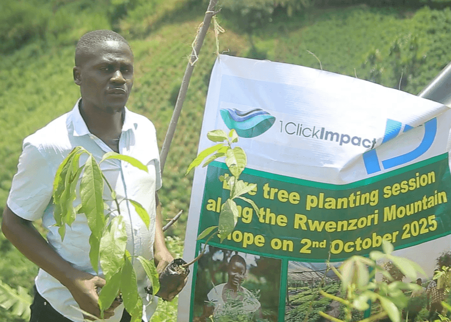 Plant Trees