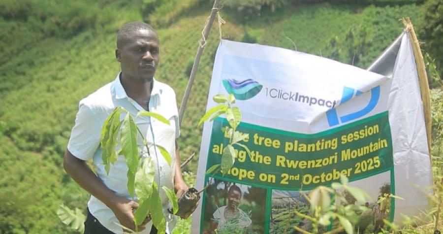 A planting day in the Rwenzori Mountains, Uganda