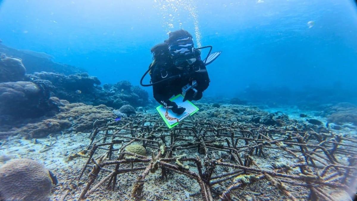 A diver recording data over reef structures at Nusa Penida