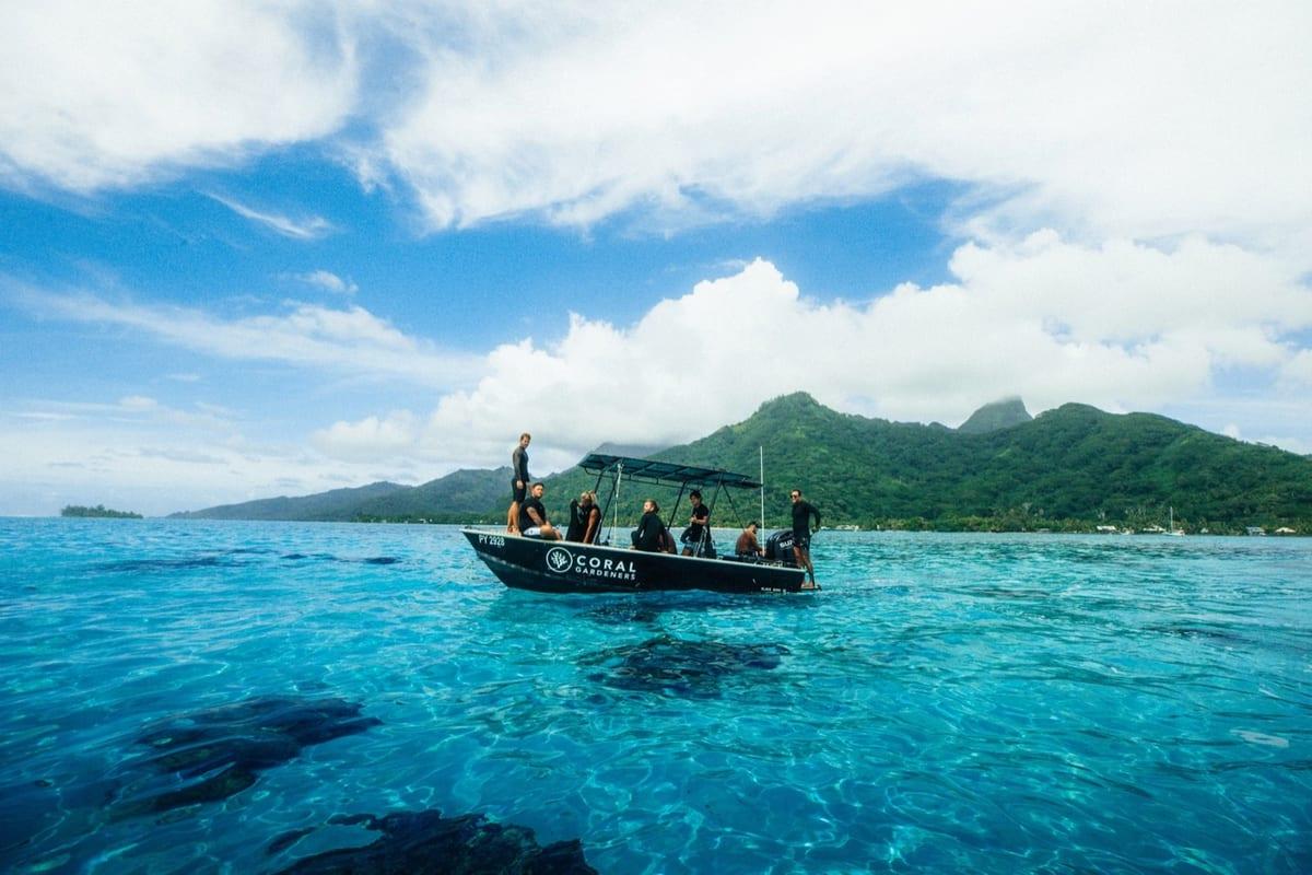 The Coral Gardeners boat on turquoise water off Mo'orea