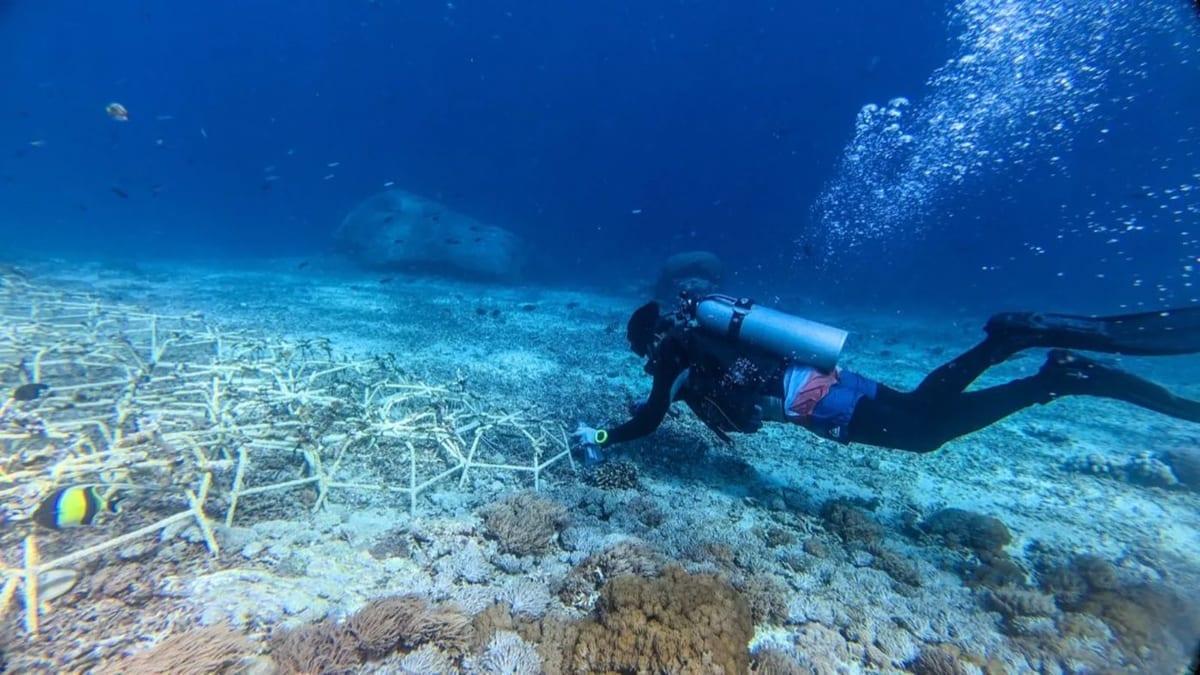 A diver working among the reef structures at Nusa Penida