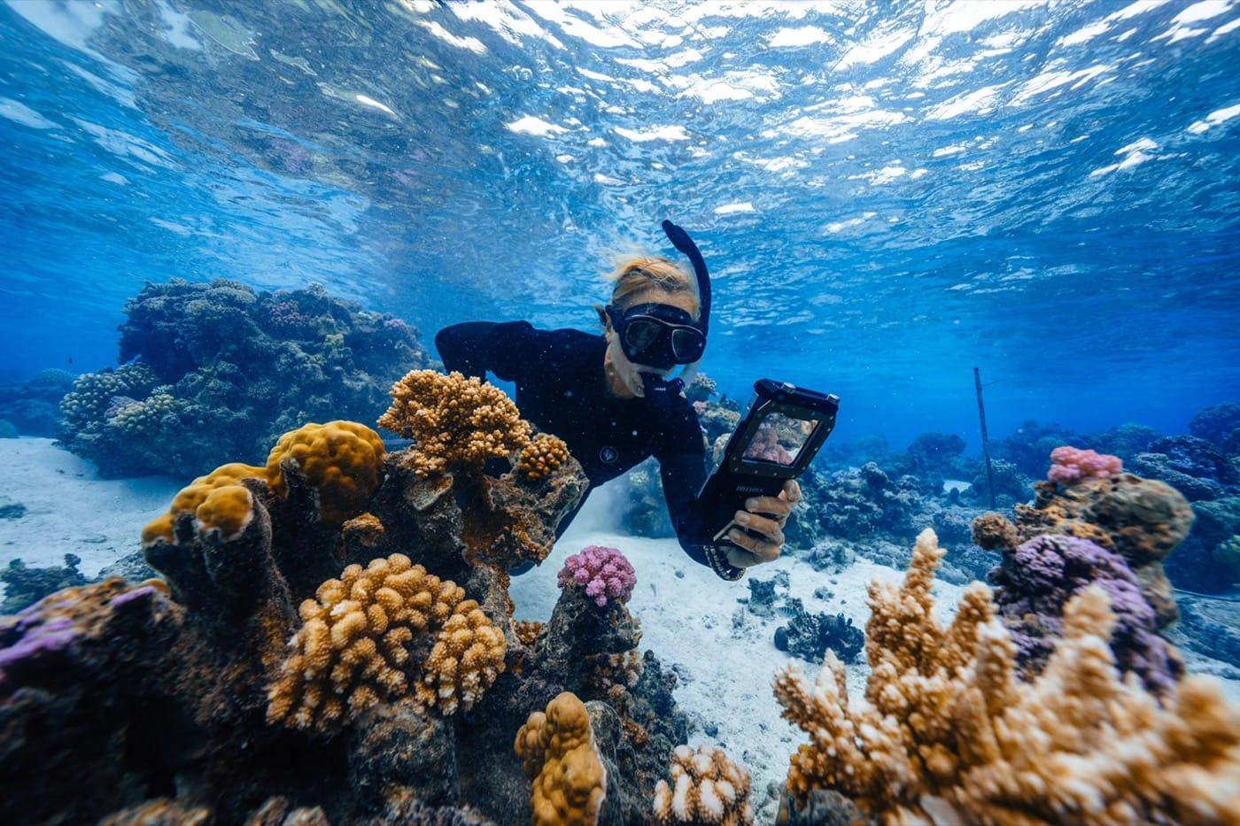 A Coral Gardeners diver checking restored coral with a tablet in Mo'orea, French Polynesia