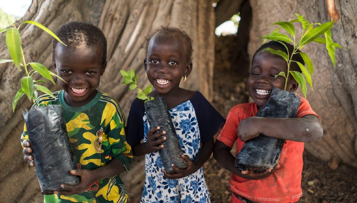 Three children in Uganda holding tree seedlings