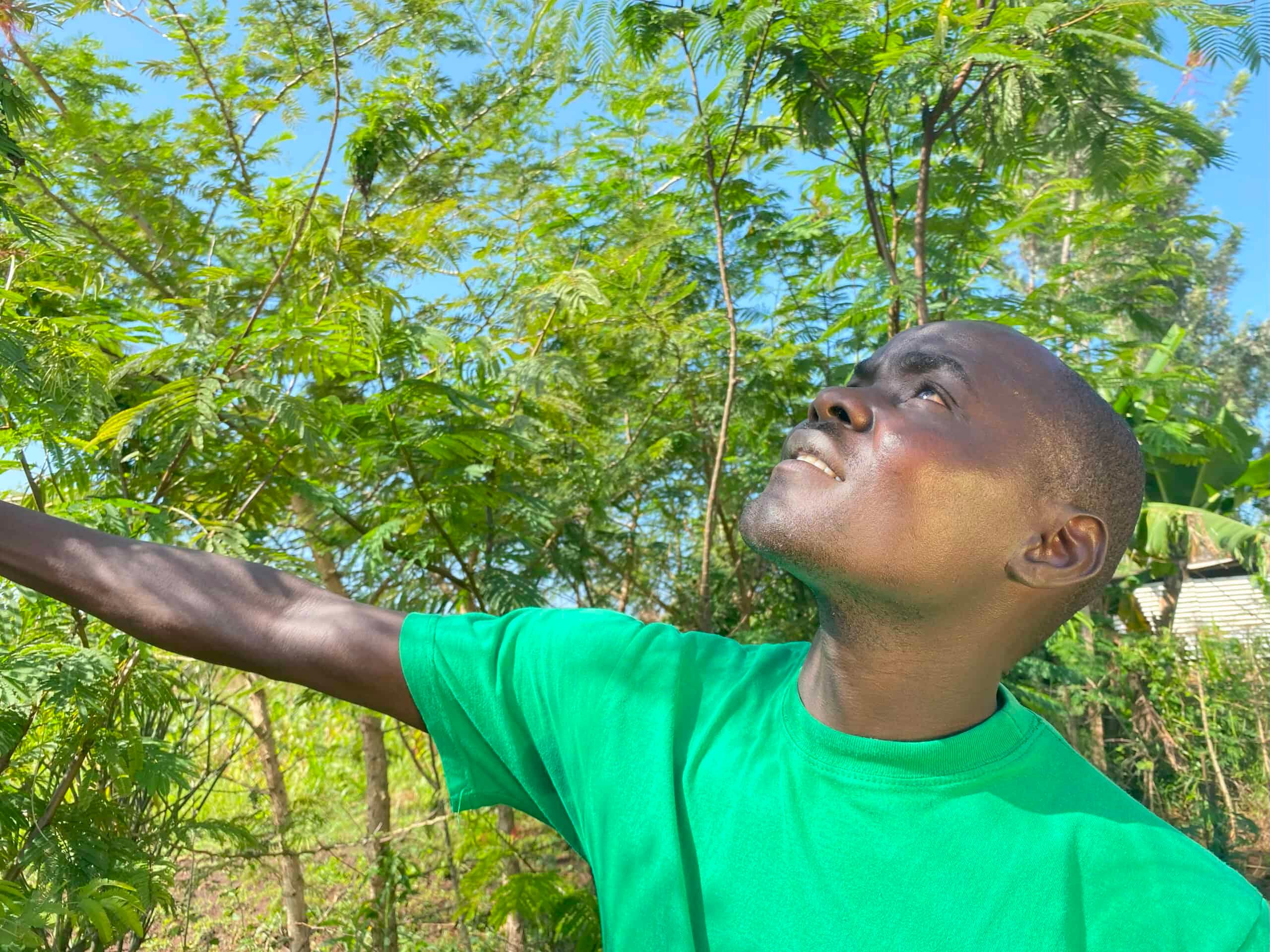 David's forest garden is making all the difference using sustainable practices.