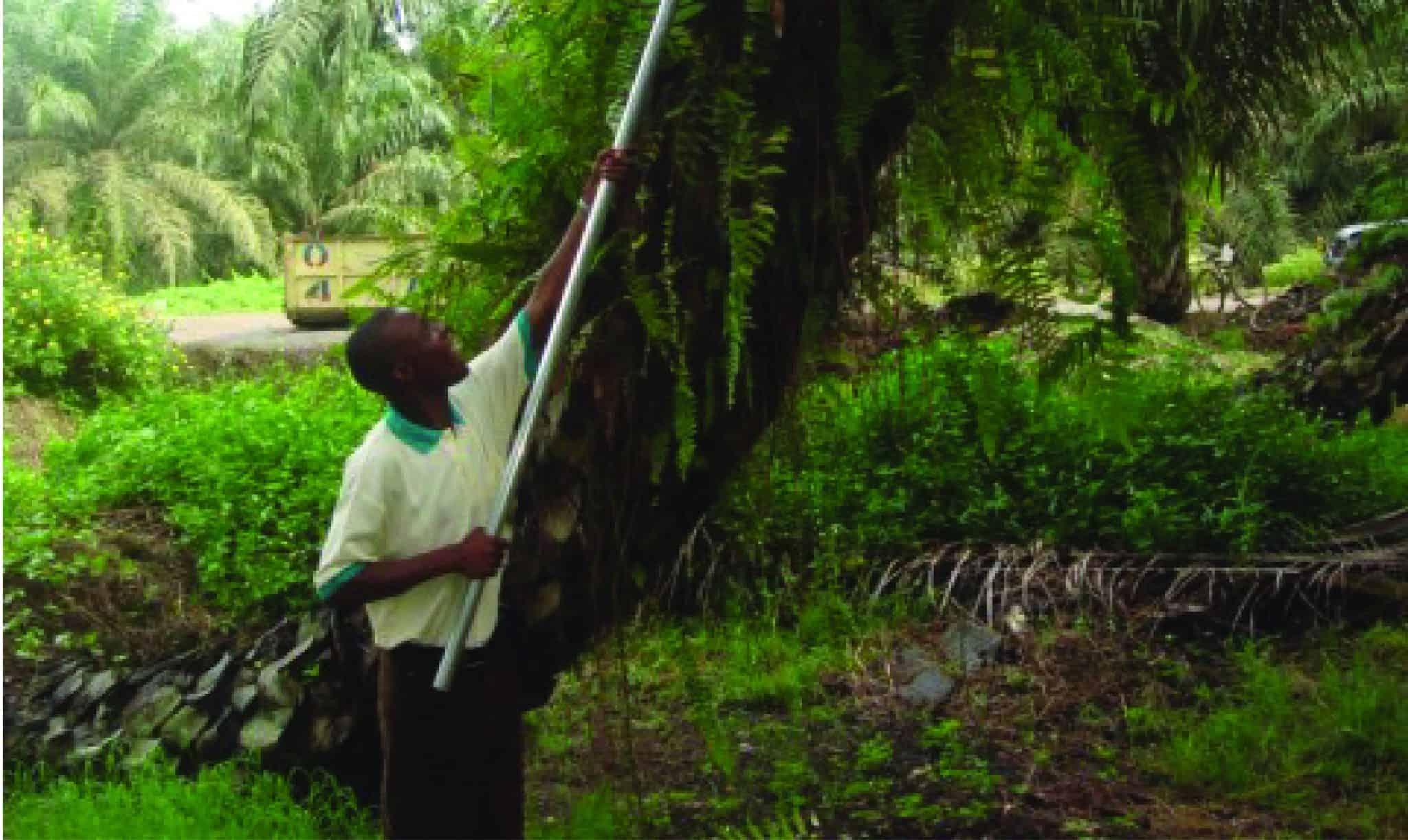 In 2010, Enoch was managing Uganda's first oil palm plantation when tragedy struck his village. A massive landslide in Bududa killed more than 300 people. Enoch lost friends and family.