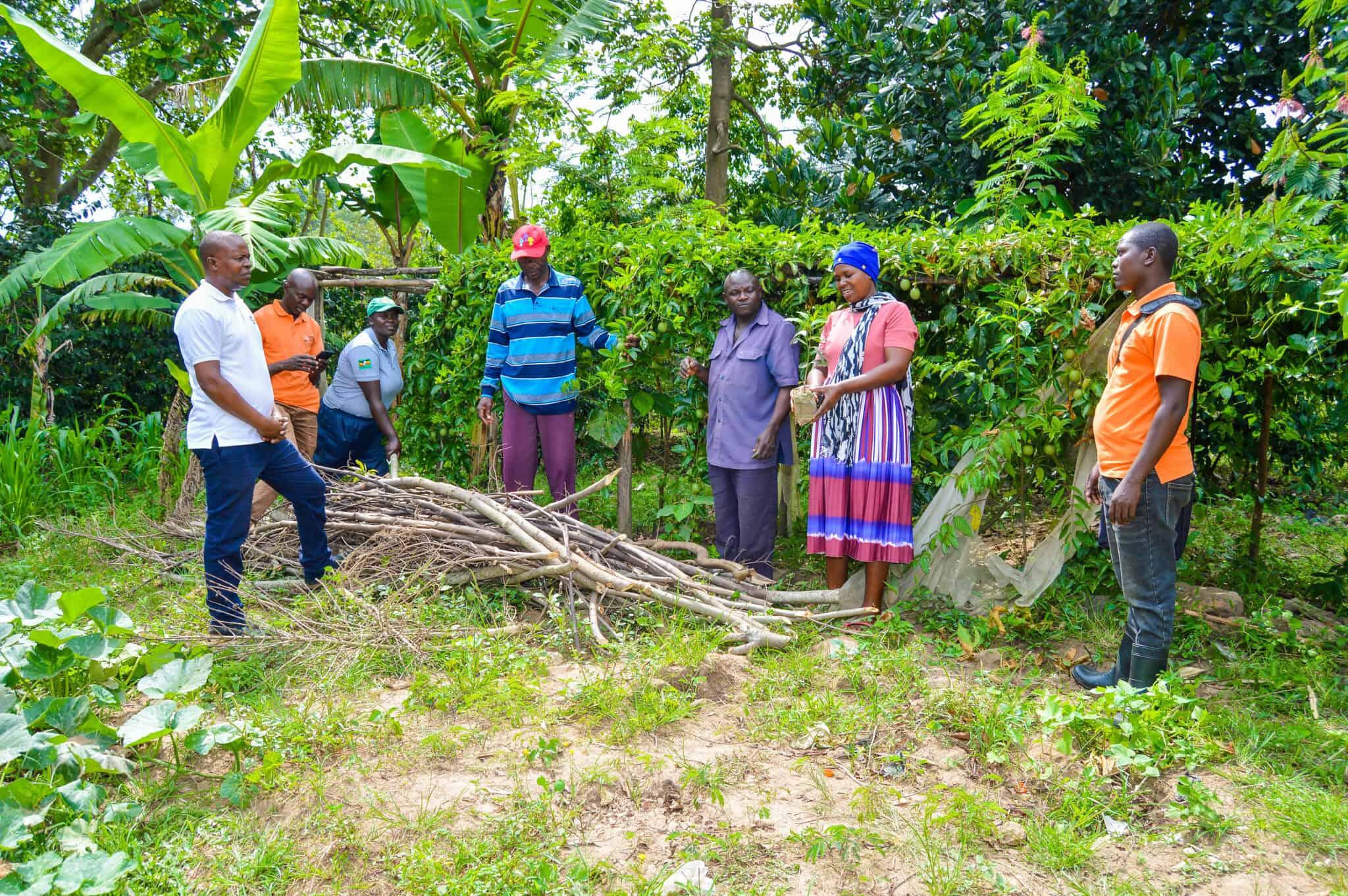 Enoch's commitment to farmers and sustainable solutions led him to join Trees for the Future (TREES) in 2020 as a Regional Program Coordinator.