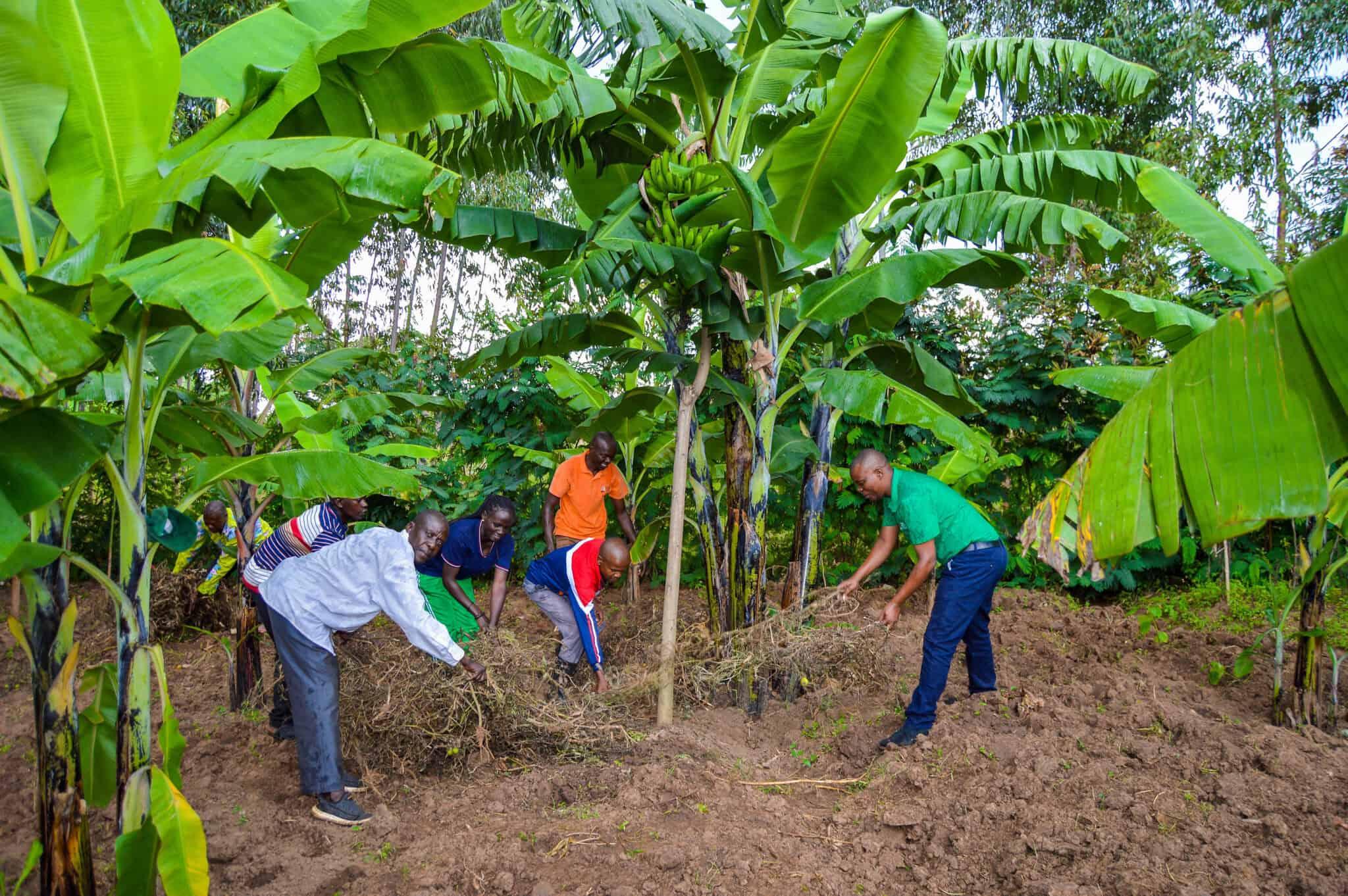 Enoch has witnessed the transformational power of sustainable farming practices and the Forest Garden Approach.