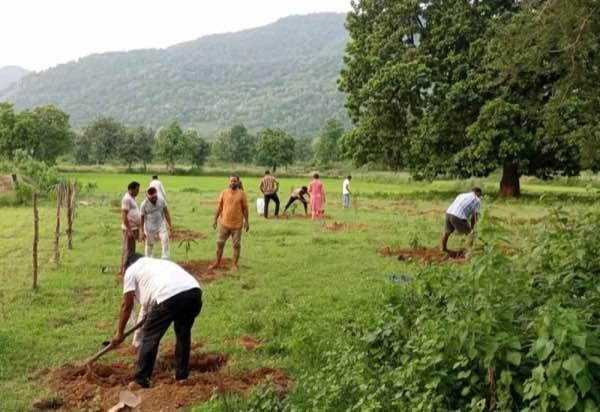 Sustainable Green Initiative (SGI) Foundation