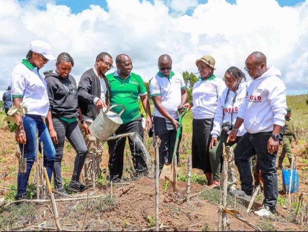 Community Organization for Positive Impact, Care and Development (COPICAD)