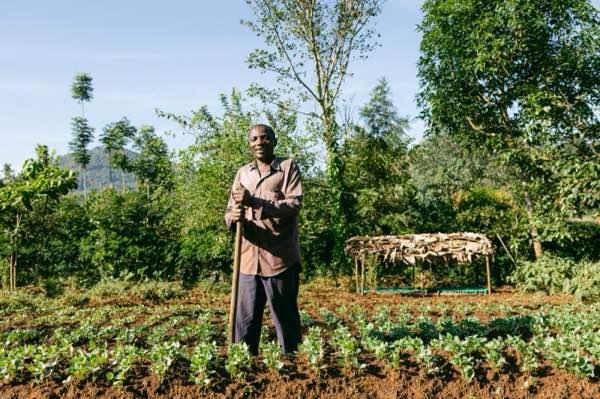 African Union's Great Green Wall (GGW)