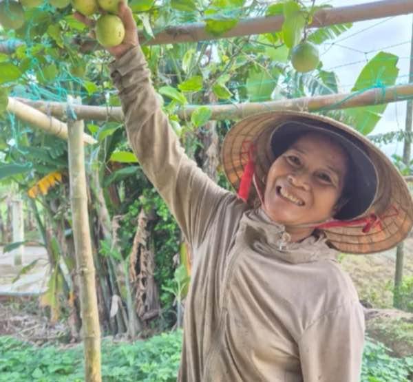 Green Youth Collective (GYC)