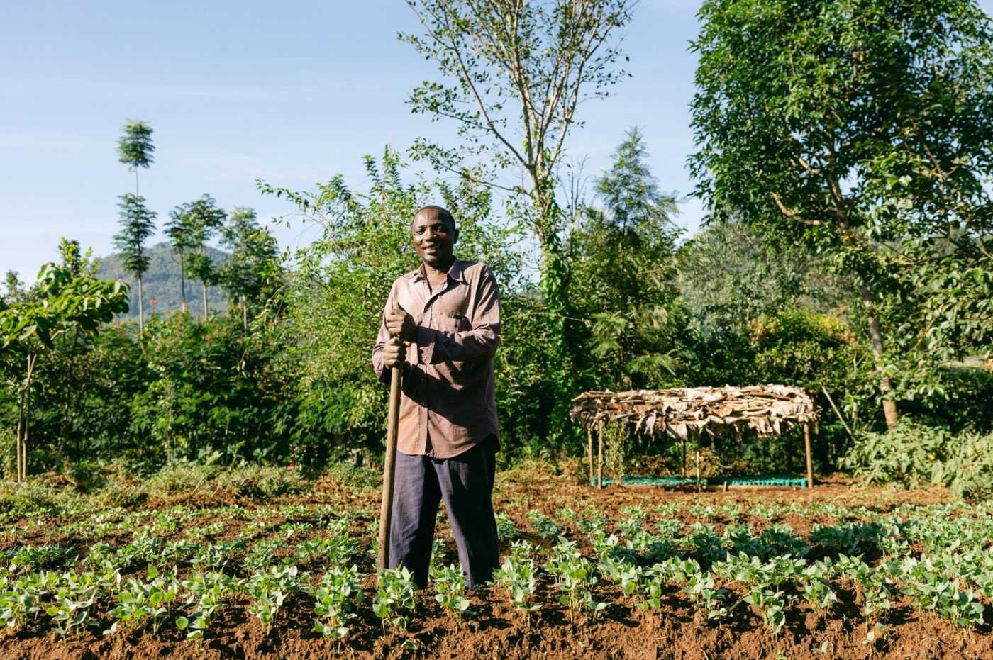 African Union's Great Green Wall (GGW) — photo 1